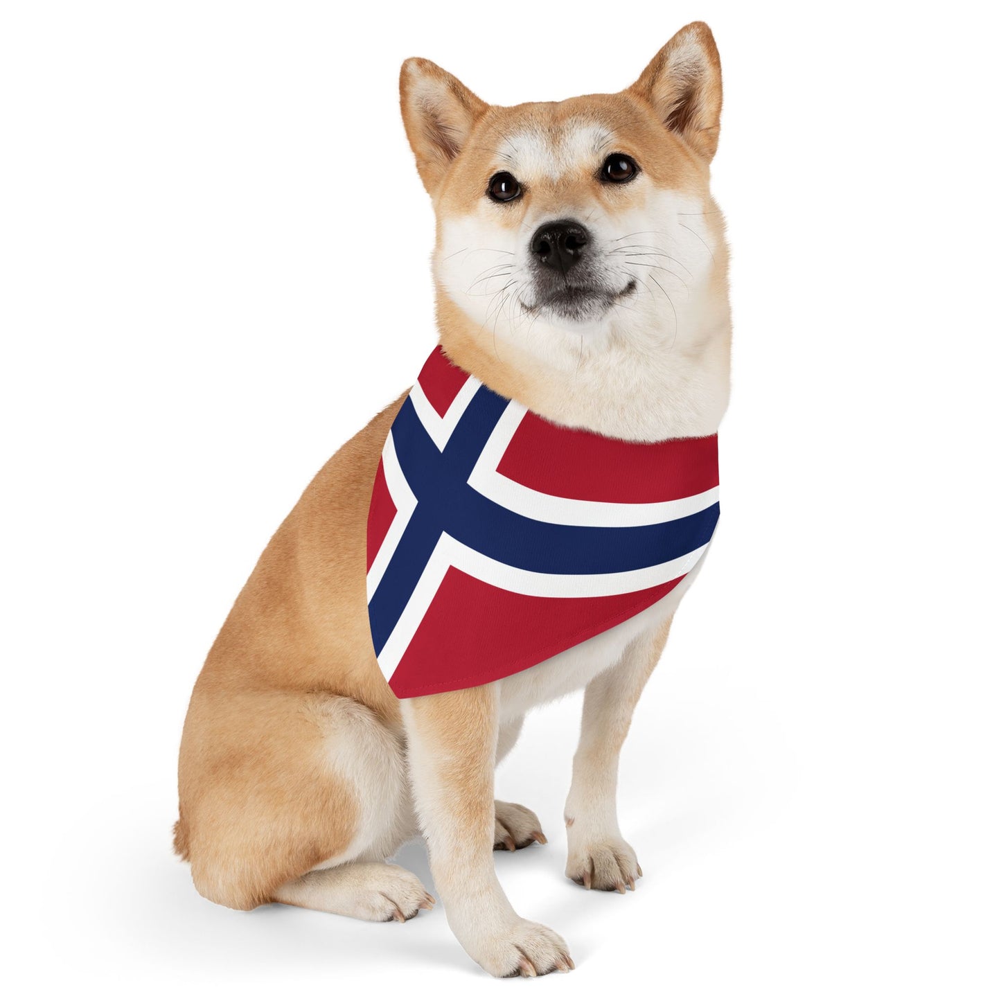 Norway Soccer Dog Bandana — Norwegian Flag Snap-On Pet Bandana, Fan Gear