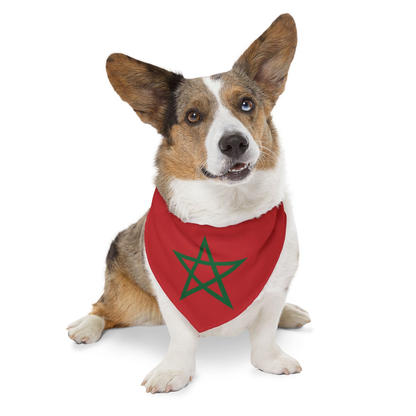 Morocco Soccer Dog Bandana — Moroccan Flag Snap-On Pet Bandana, Fan Gear