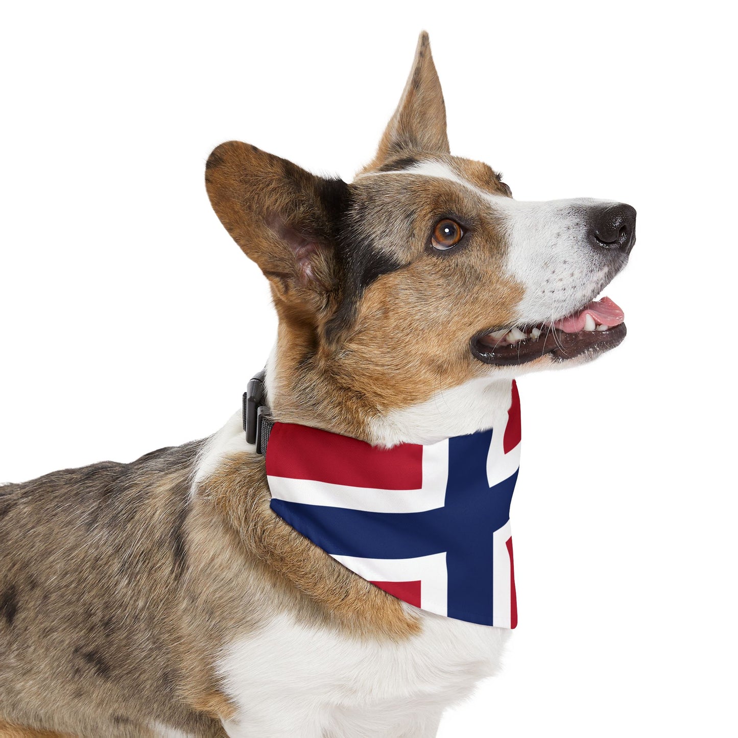 Norway Soccer Dog Bandana — Norwegian Flag Snap-On Pet Bandana, Fan Gear