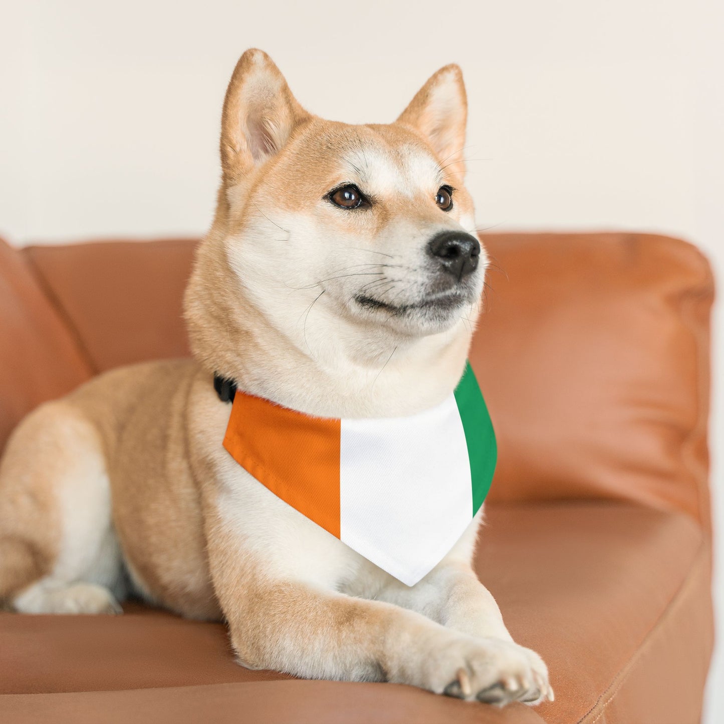 Ivory Coast Soccer Dog Bandana — Ivorian Flag Snap-On Pet Bandana, Fan Gear