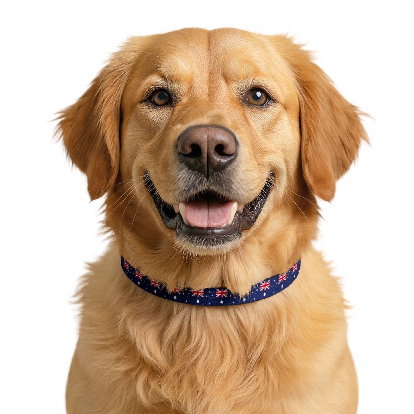 Australia Soccer Dog Collar — Australian Flag Grid Clip-On Pet Collar, Fan Gear