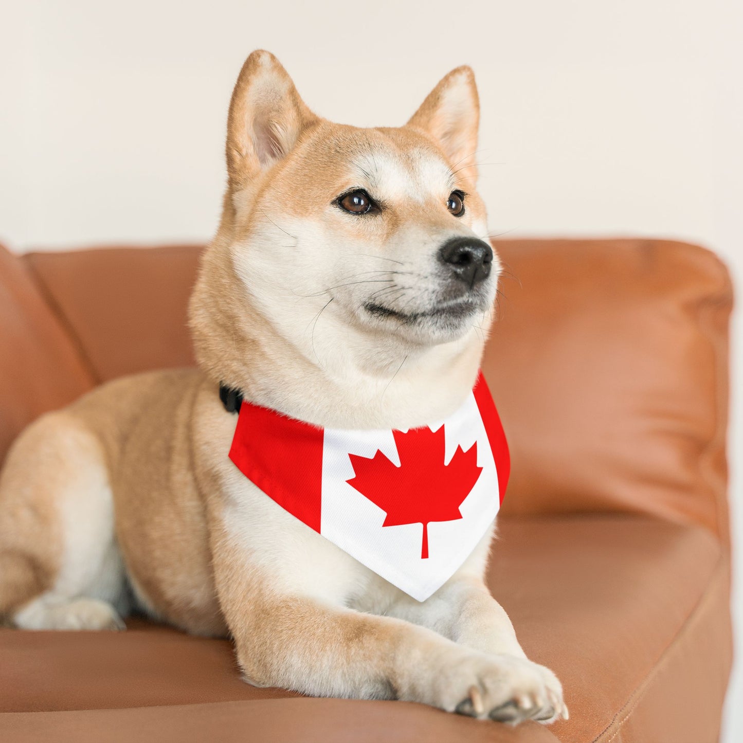 Canada Soccer Dog Bandana — Canadian Flag Snap-On Pet Bandana, Fan Gear