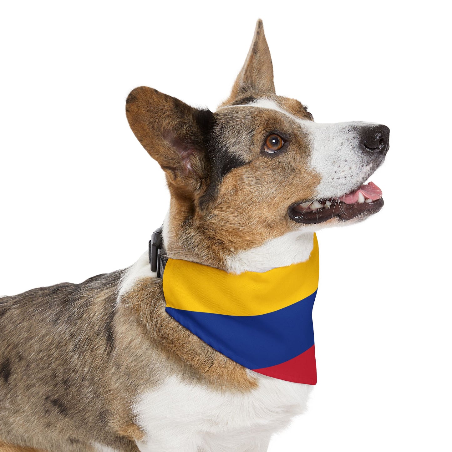 Colombia Soccer Dog Bandana — Colombian Flag Snap-On Pet Bandana, Fan Gear