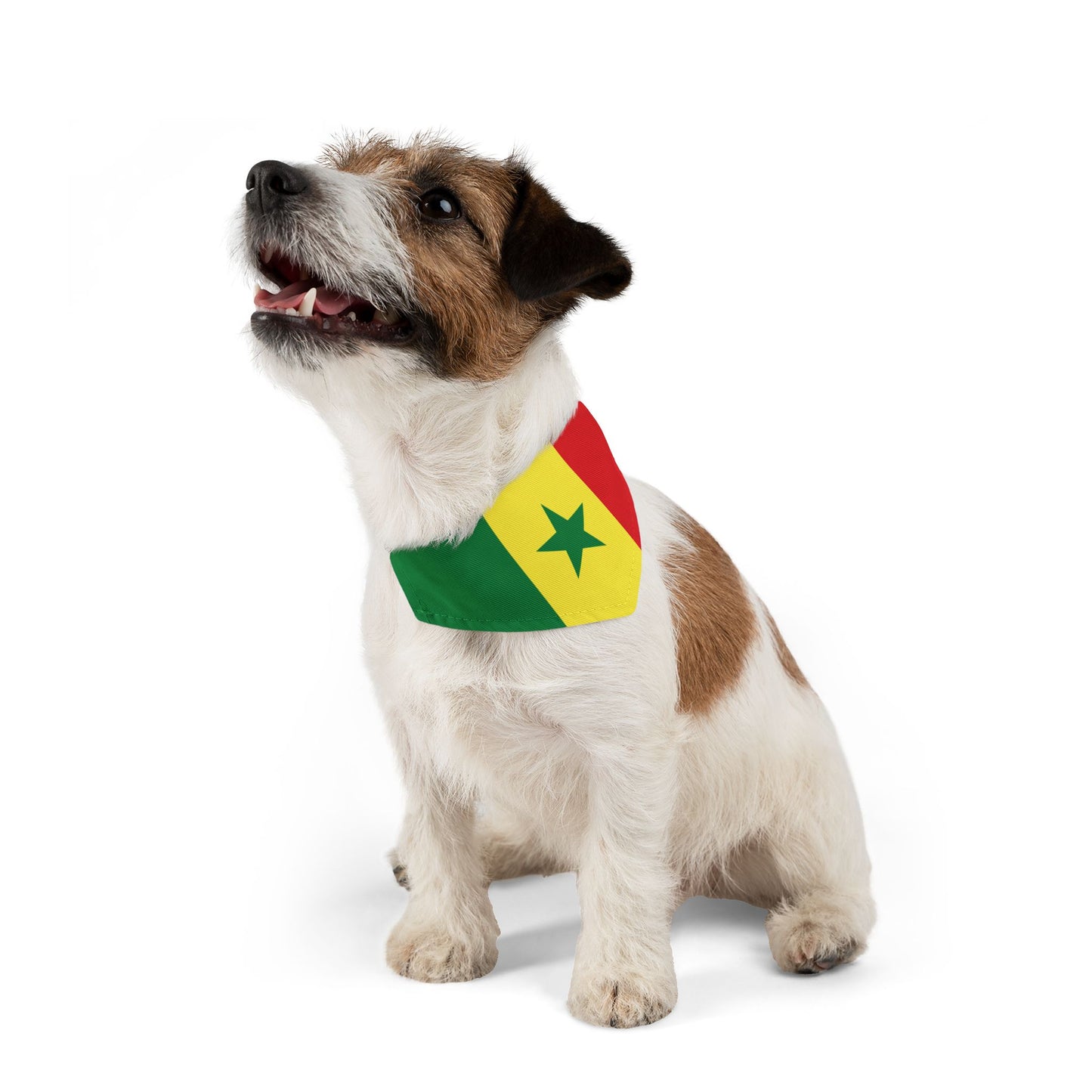 Senegal Soccer Dog Bandana — Senegalese Flag Snap-On Pet Bandana, Fan Gear