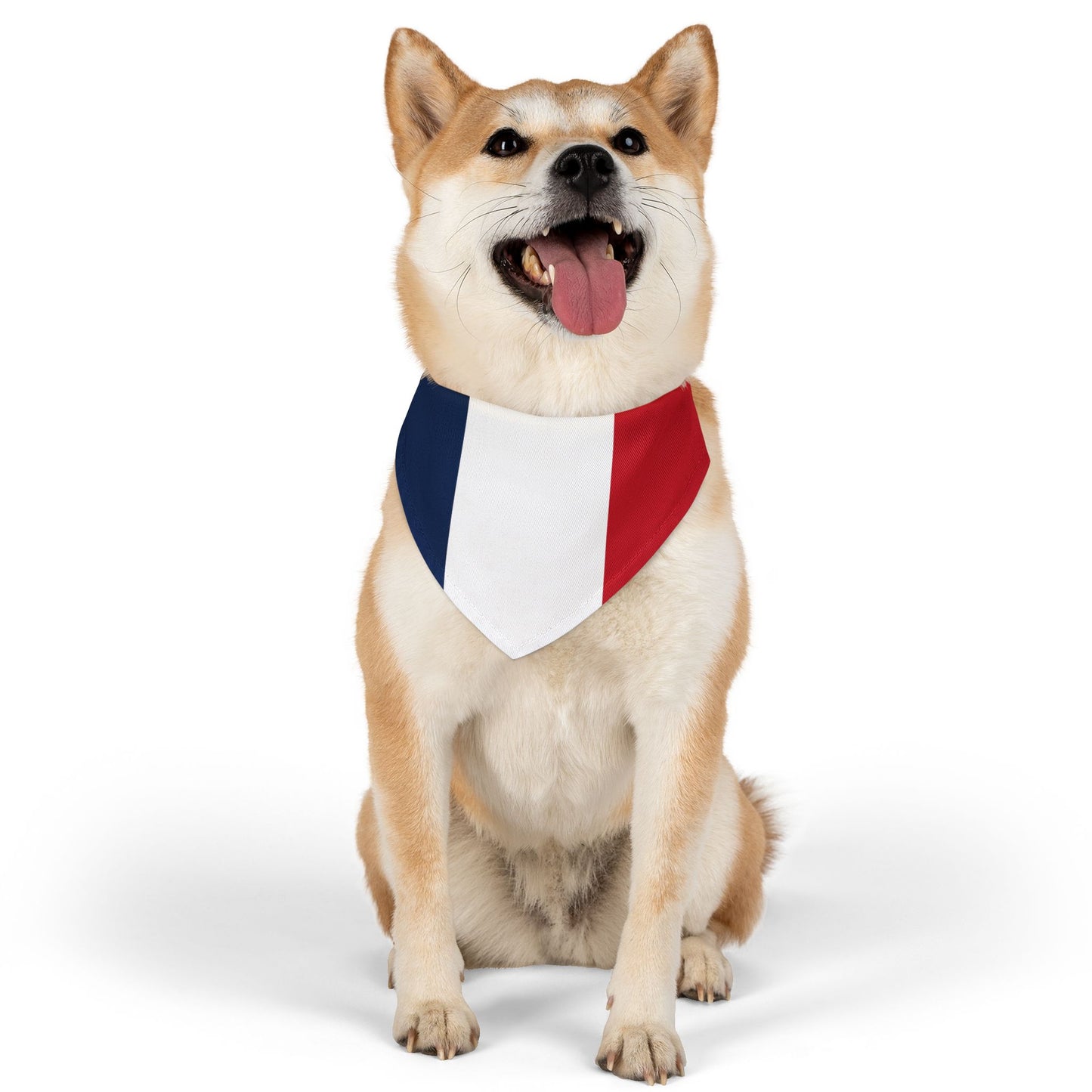 France Soccer Dog Bandana — French Flag Snap-On Pet Bandana, Fan Gear