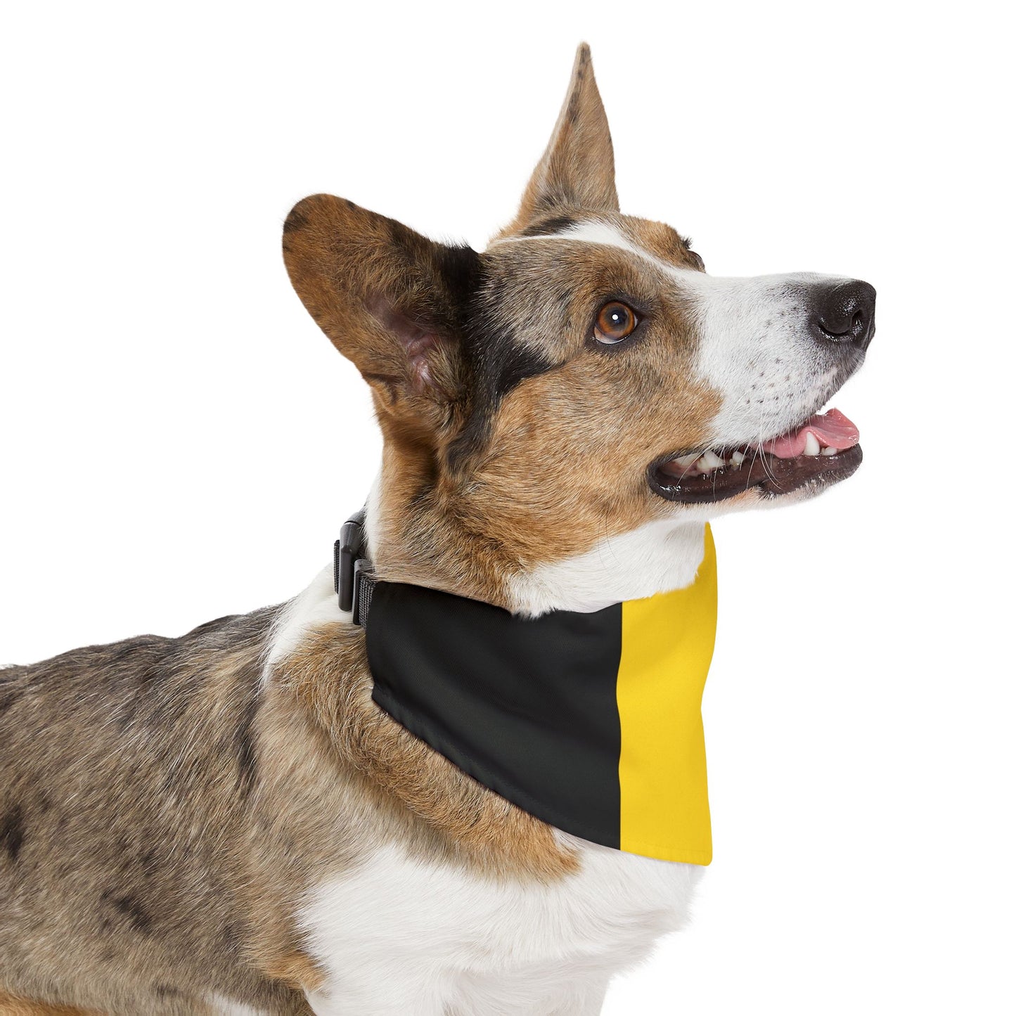 Belgium Soccer Dog Bandana — Belgian Flag Snap-On Pet Bandana, Fan Gear