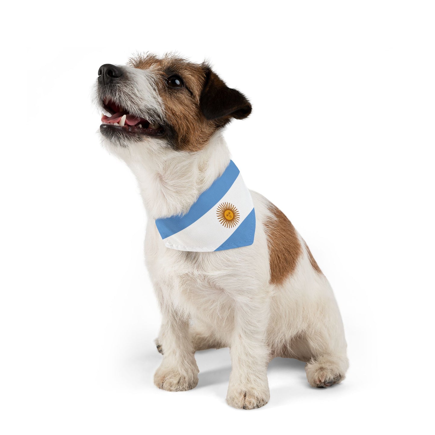 Argentina Soccer Dog Bandana — Argentine Flag Snap-On Pet Bandana, Fan Gear