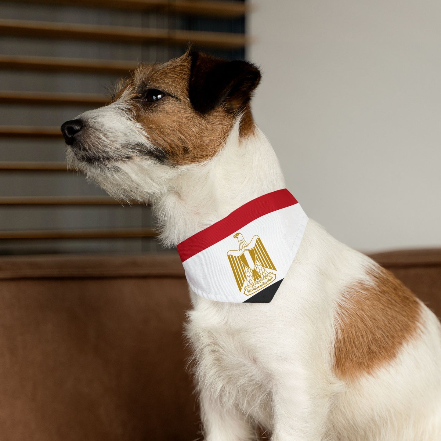Egypt Soccer Dog Bandana — Egyptian Flag Snap-On Pet Bandana, Fan Gear