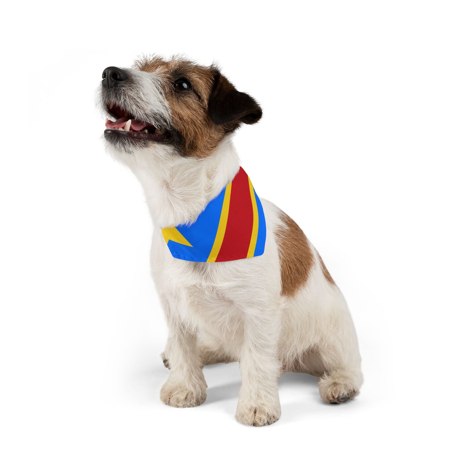 DR Congo Soccer Dog Bandana — Congolese Flag Snap-On Pet Bandana, Fan Gear