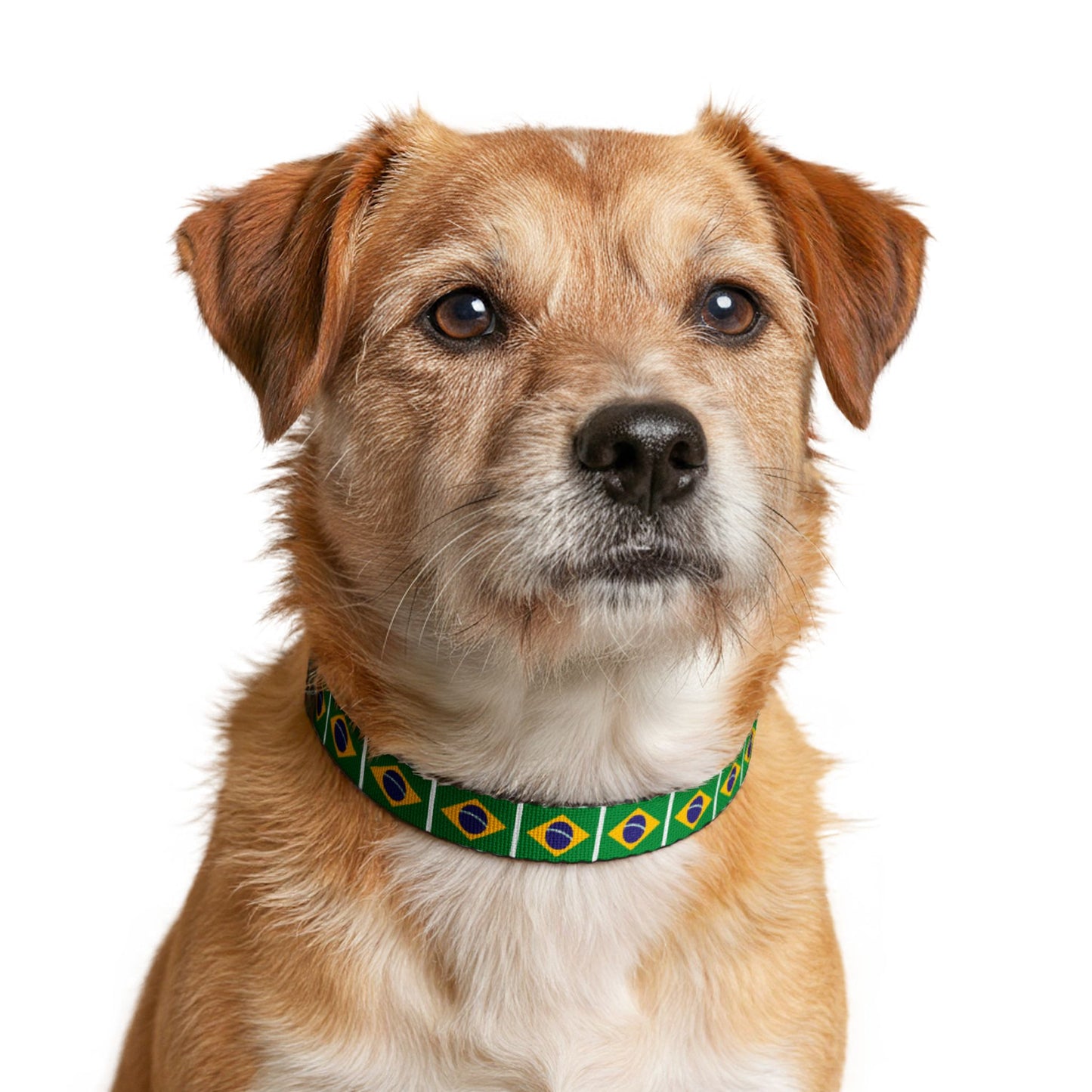 Brazil Soccer Dog Collar — Brazilian Flag Grid Clip-On Pet Collar, Fan Gear