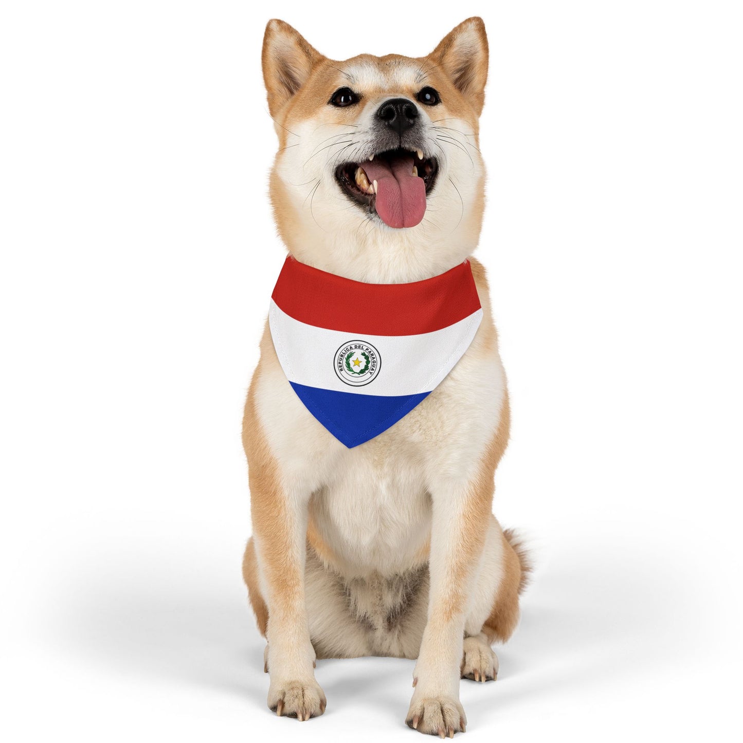 Paraguay Soccer Dog Bandana — Paraguayan Flag Snap-On Pet Bandana, Fan Gear