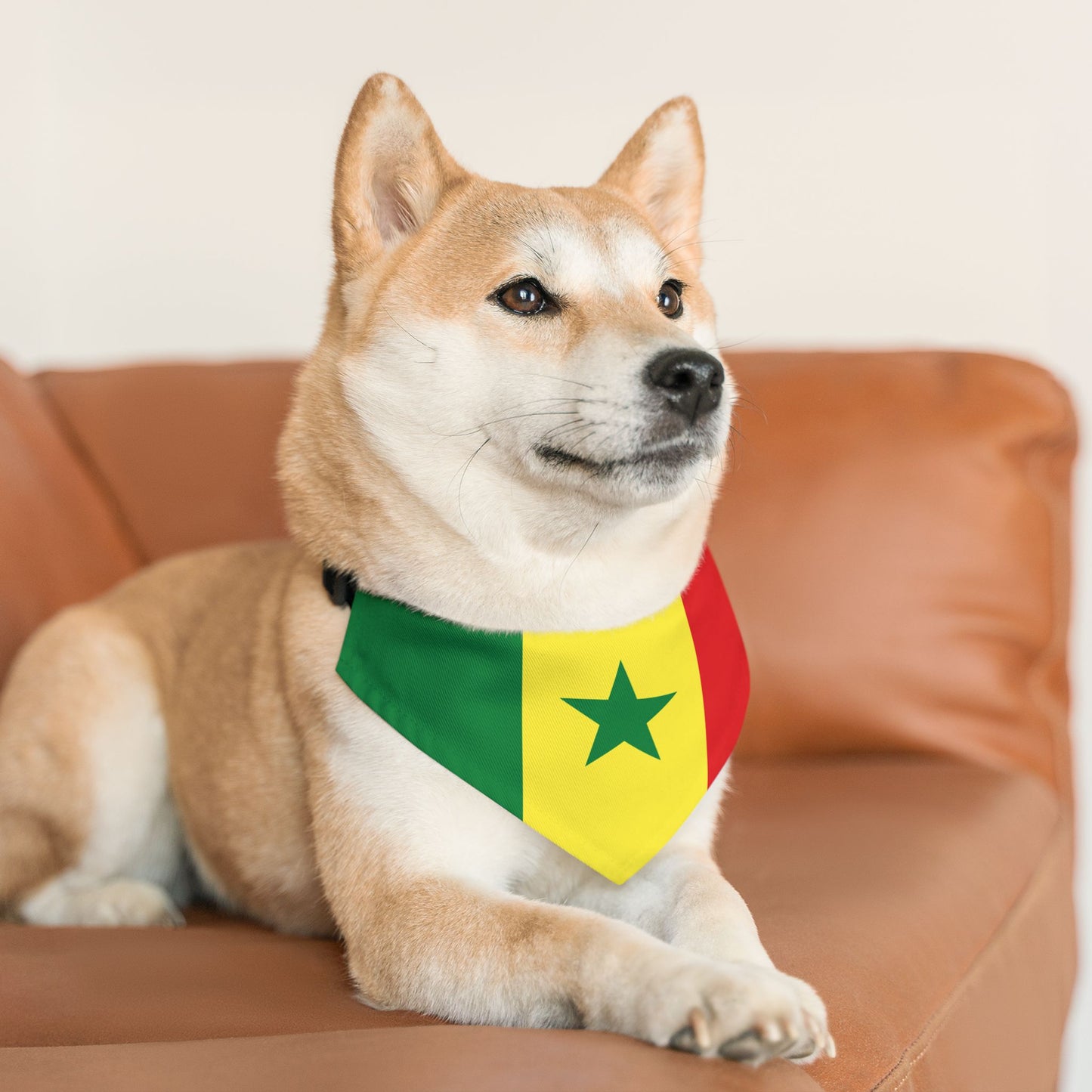 Senegal Soccer Dog Bandana — Senegalese Flag Snap-On Pet Bandana, Fan Gear