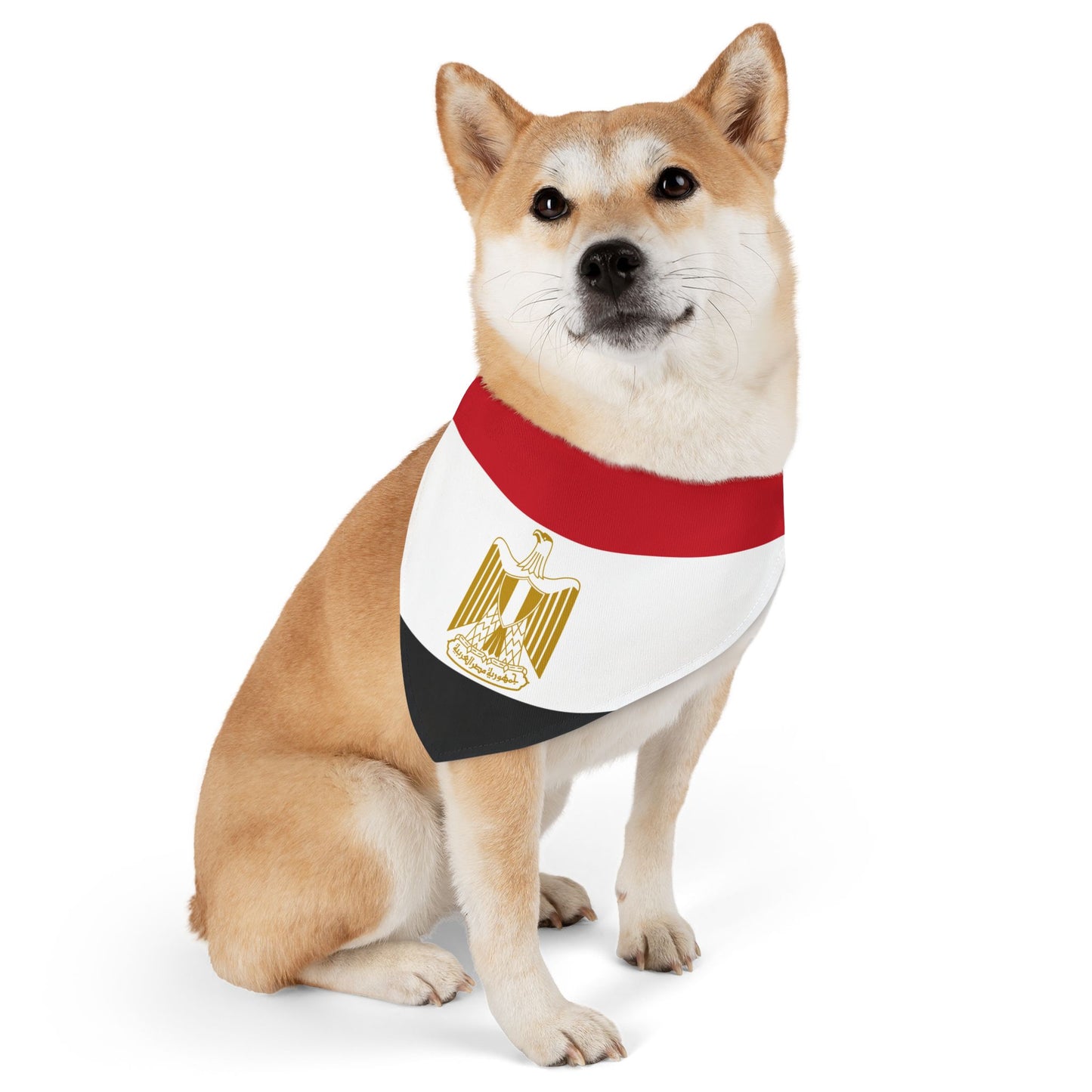 Egypt Soccer Dog Bandana — Egyptian Flag Snap-On Pet Bandana, Fan Gear
