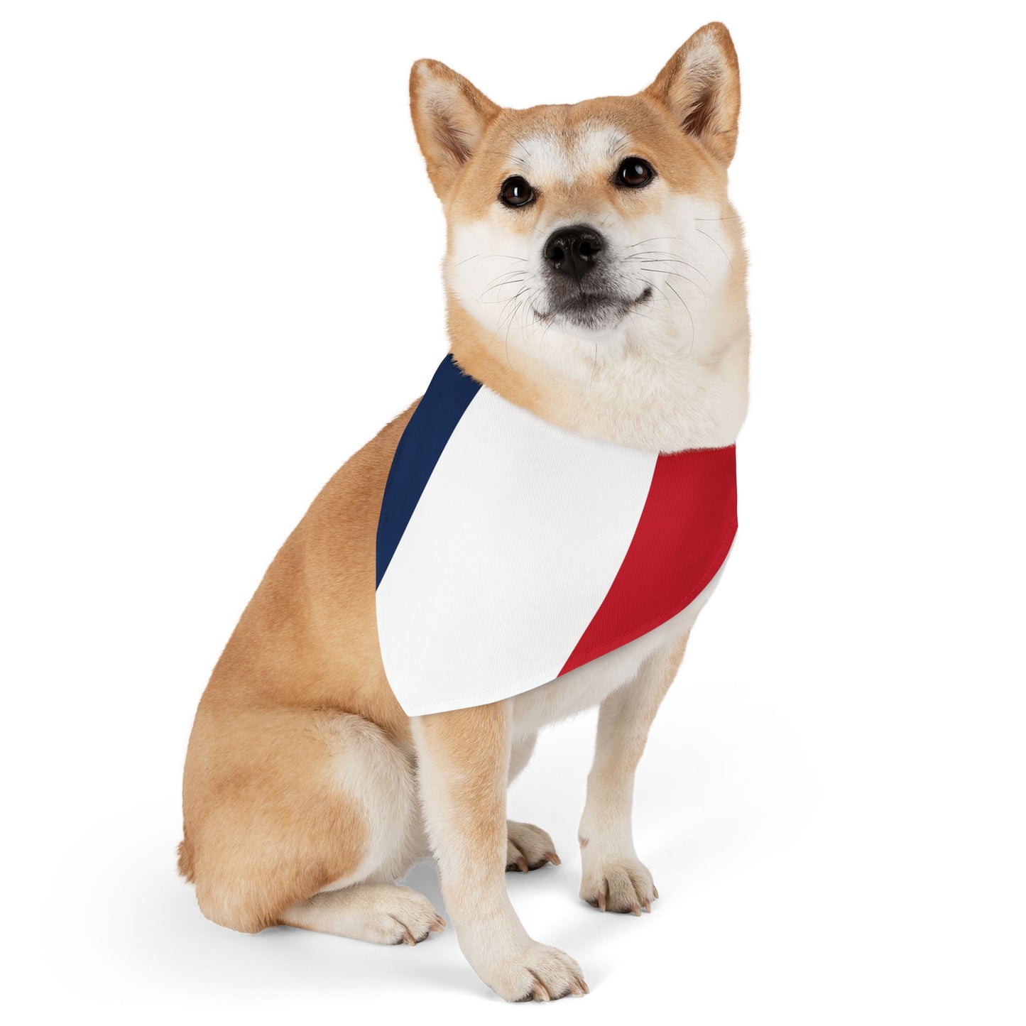 France Soccer Dog Bandana — French Flag Snap-On Pet Bandana, Fan Gear