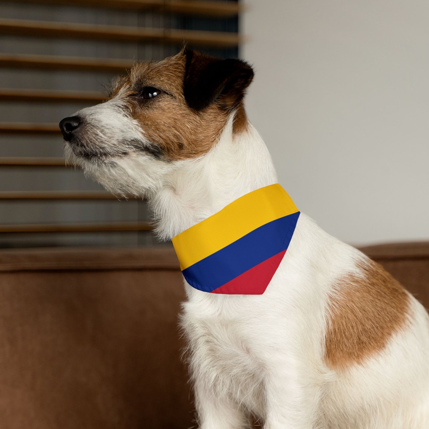 Colombia Soccer Dog Bandana — Colombian Flag Snap-On Pet Bandana, Fan Gear