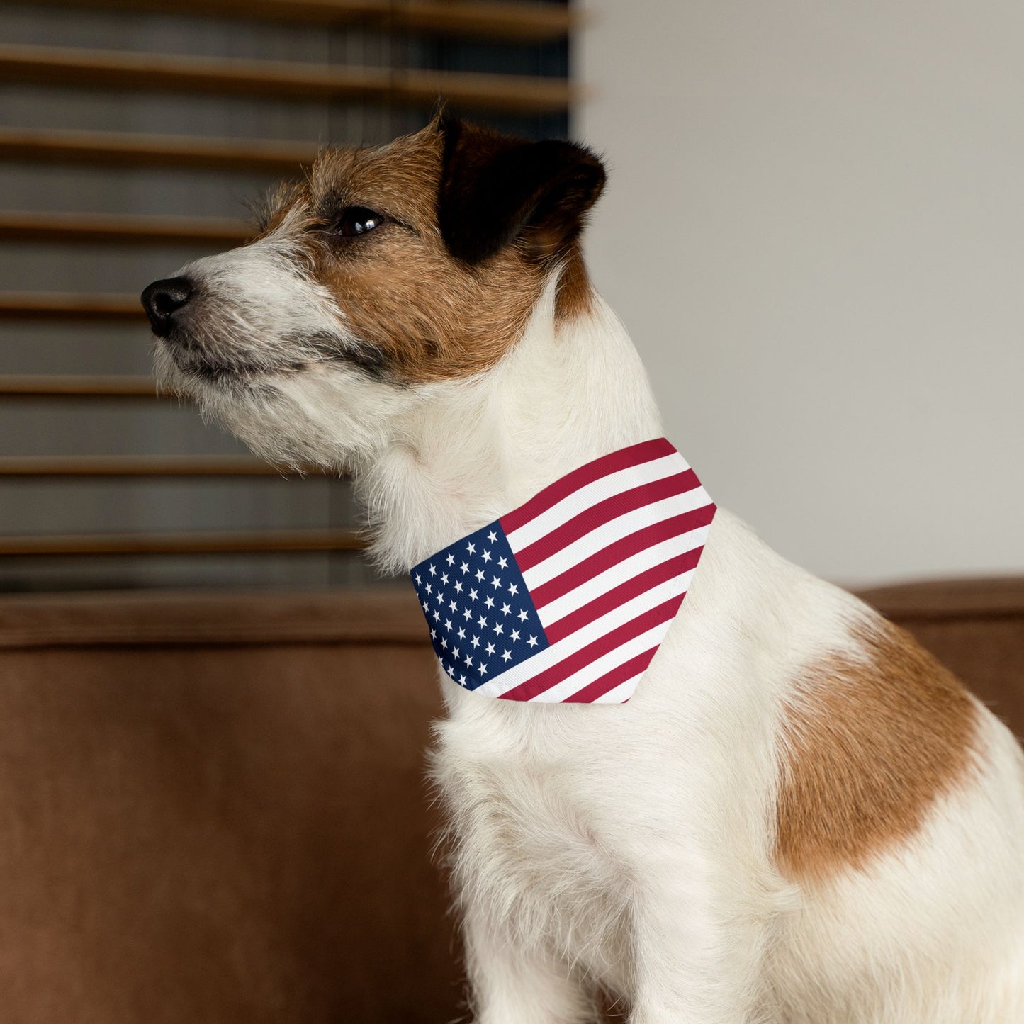 United States Soccer Dog Collar — American Flag Grid Clip-On Pet Collar, Fan Gear