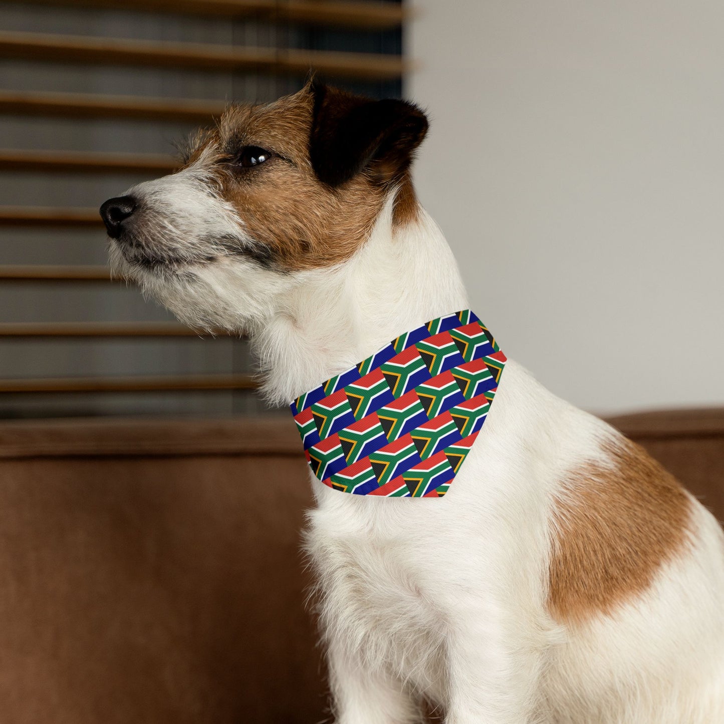 South Africa Soccer Dog Bandana — South African Flag Snap-On Pet Bandana, Fan Gear