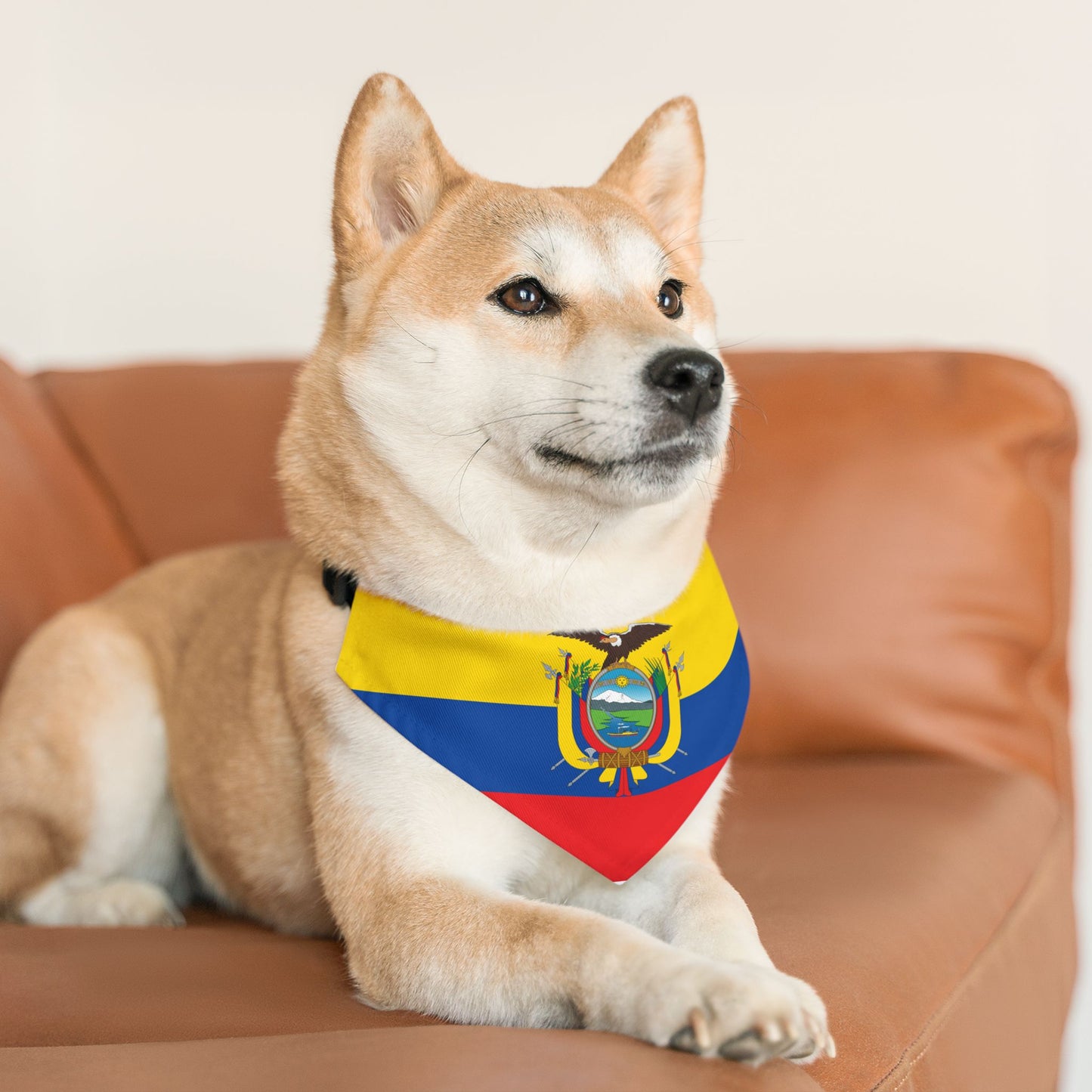 Ecuador Soccer Dog Bandana — Ecuadorian Flag Snap-On Pet Bandana, Fan Gear