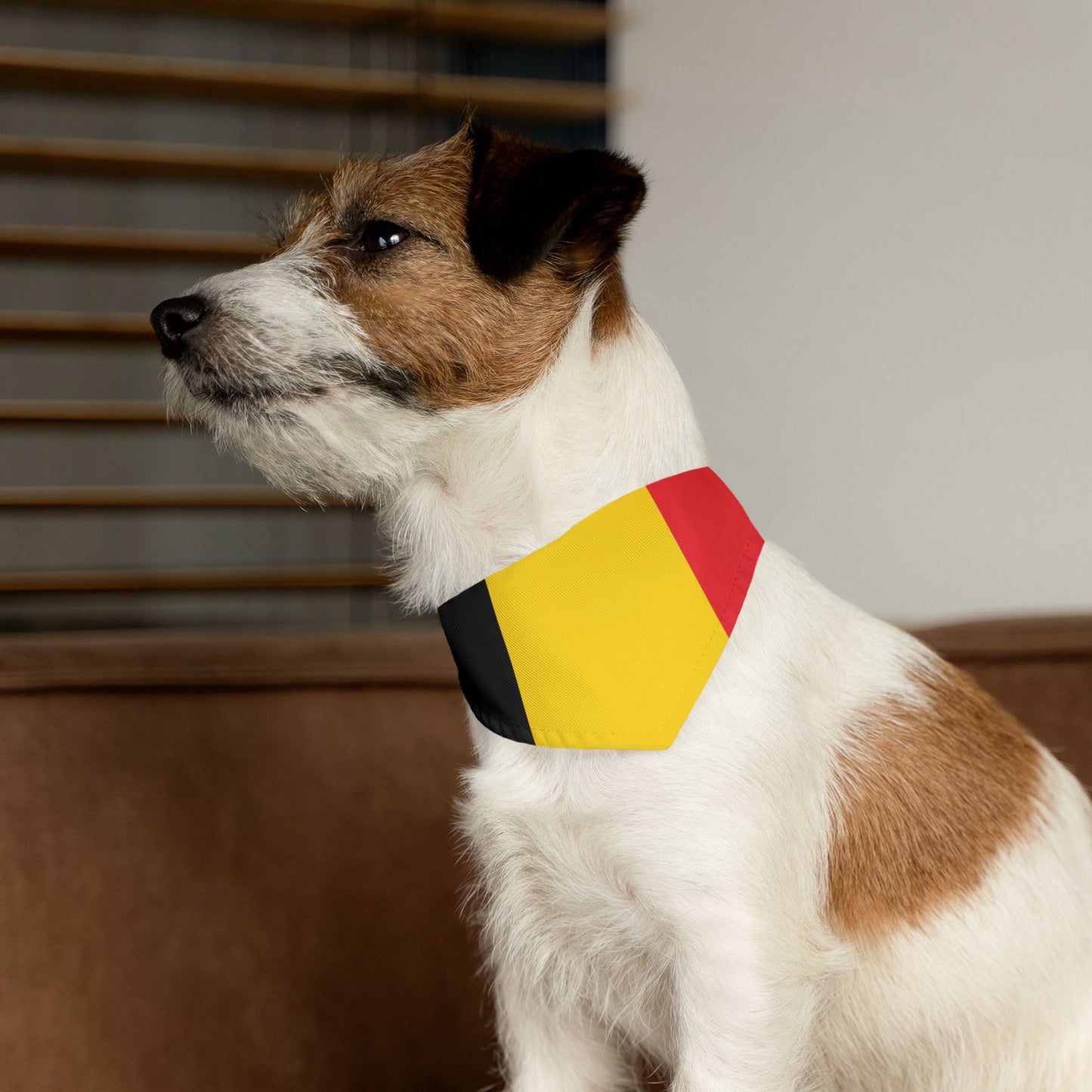 Belgium Soccer Dog Bandana — Belgian Flag Snap-On Pet Bandana, Fan Gear