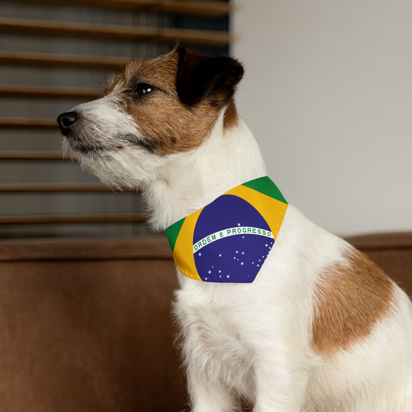 Brazil Soccer Dog Bandana — Brazilian Flag Snap-On Pet Bandana, Fan Gear
