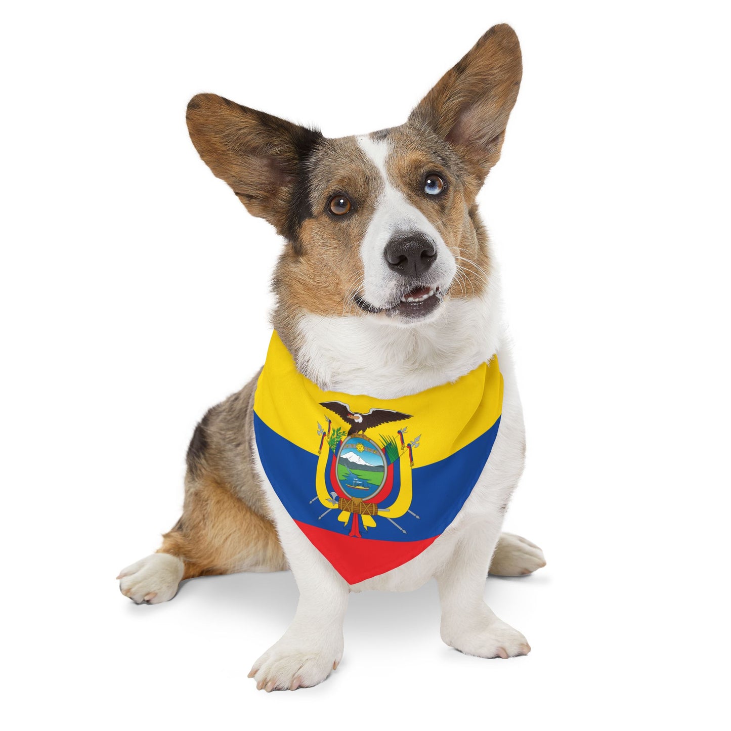 Ecuador Soccer Dog Bandana — Ecuadorian Flag Snap-On Pet Bandana, Fan Gear