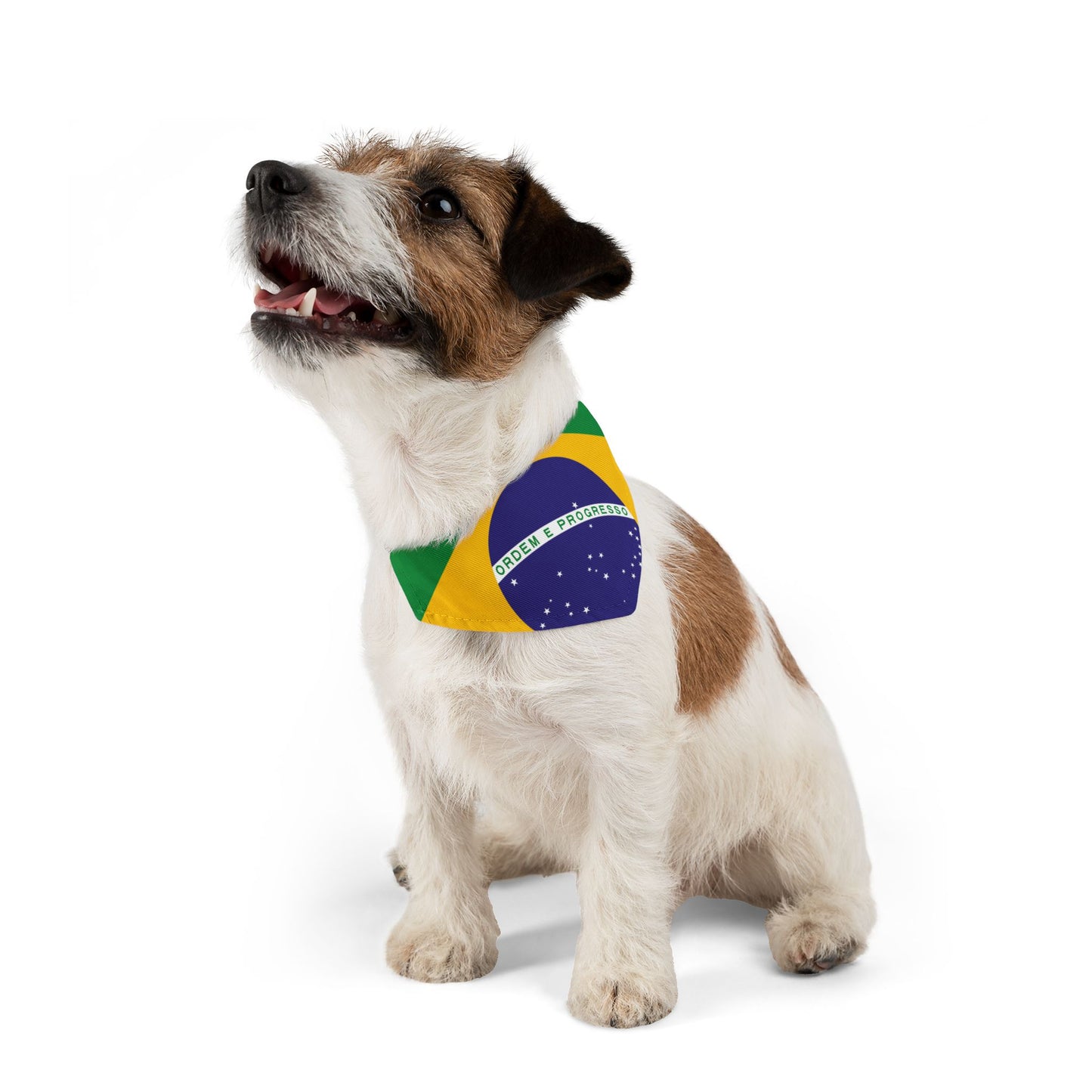 Brazil Soccer Dog Bandana — Brazilian Flag Snap-On Pet Bandana, Fan Gear