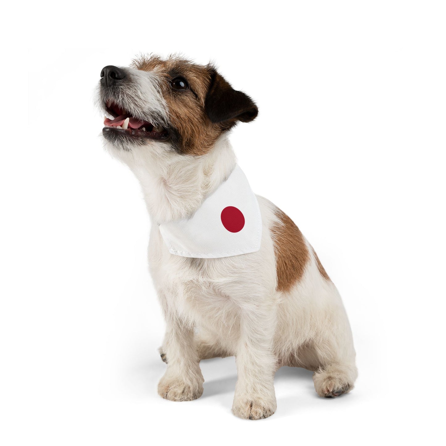 Japan Soccer Dog Bandana — Japanese Flag Snap-On Pet Bandana, Fan Gear