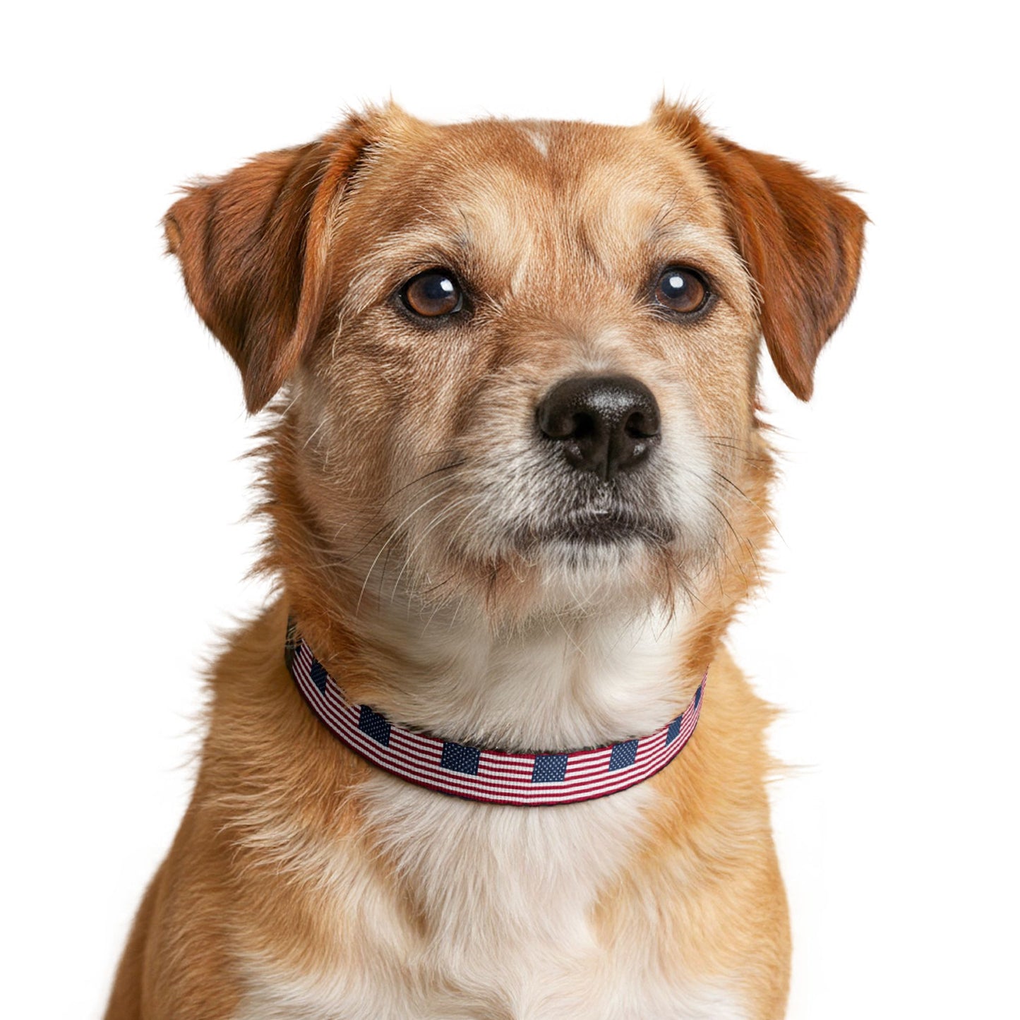 United States Soccer Dog Collar — Flag Clip-On Pet Collar