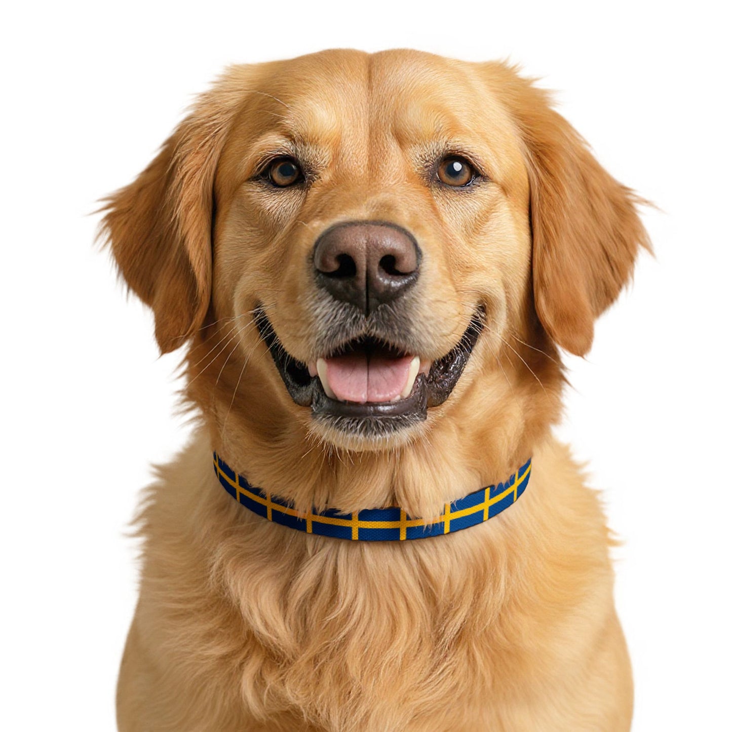 Sweden Soccer Dog Collar — Swedish Flag Grid Clip-On Pet Collar, Fan Gear