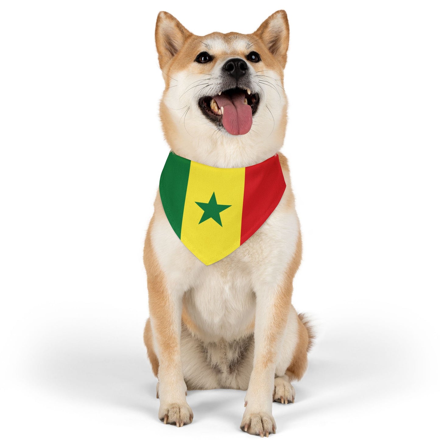 Senegal Soccer Dog Bandana — Senegalese Flag Snap-On Pet Bandana, Fan Gear