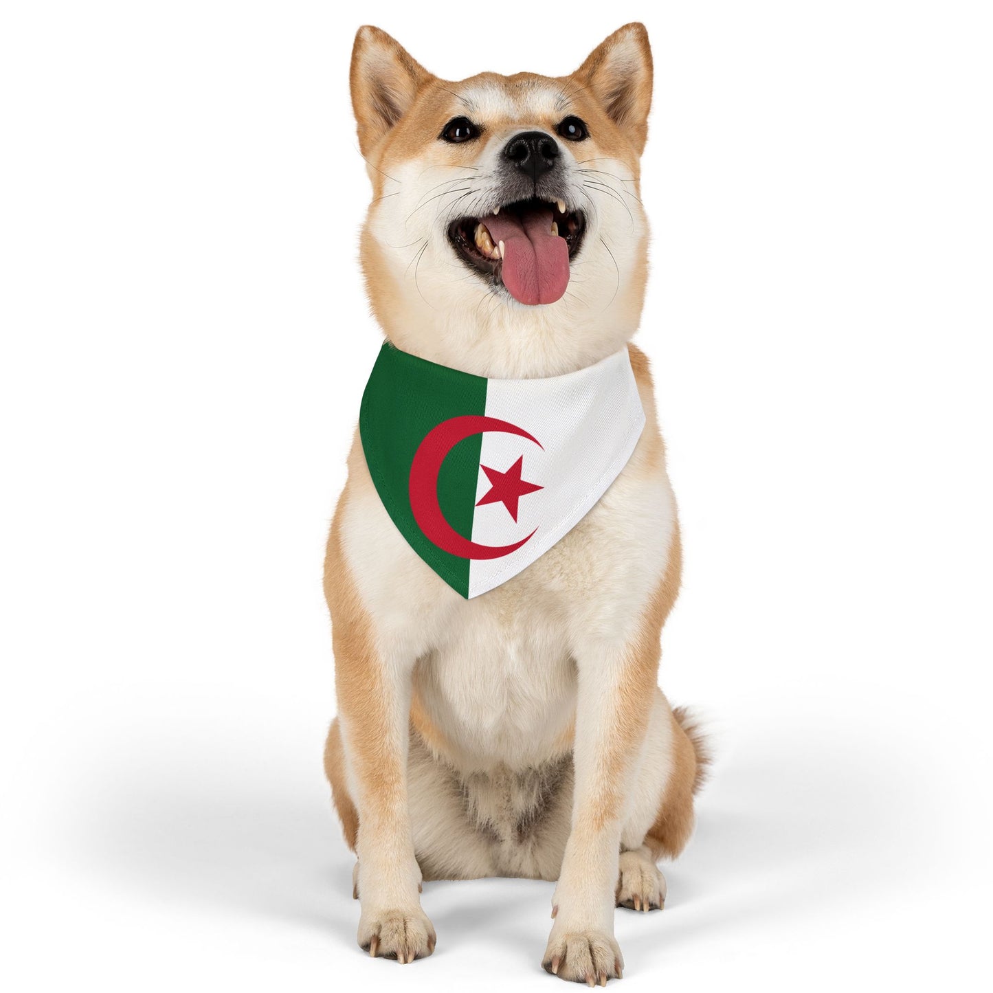 Algeria Soccer Dog Bandana — Algerian Flag Snap-On Pet Bandana, Fan Gear