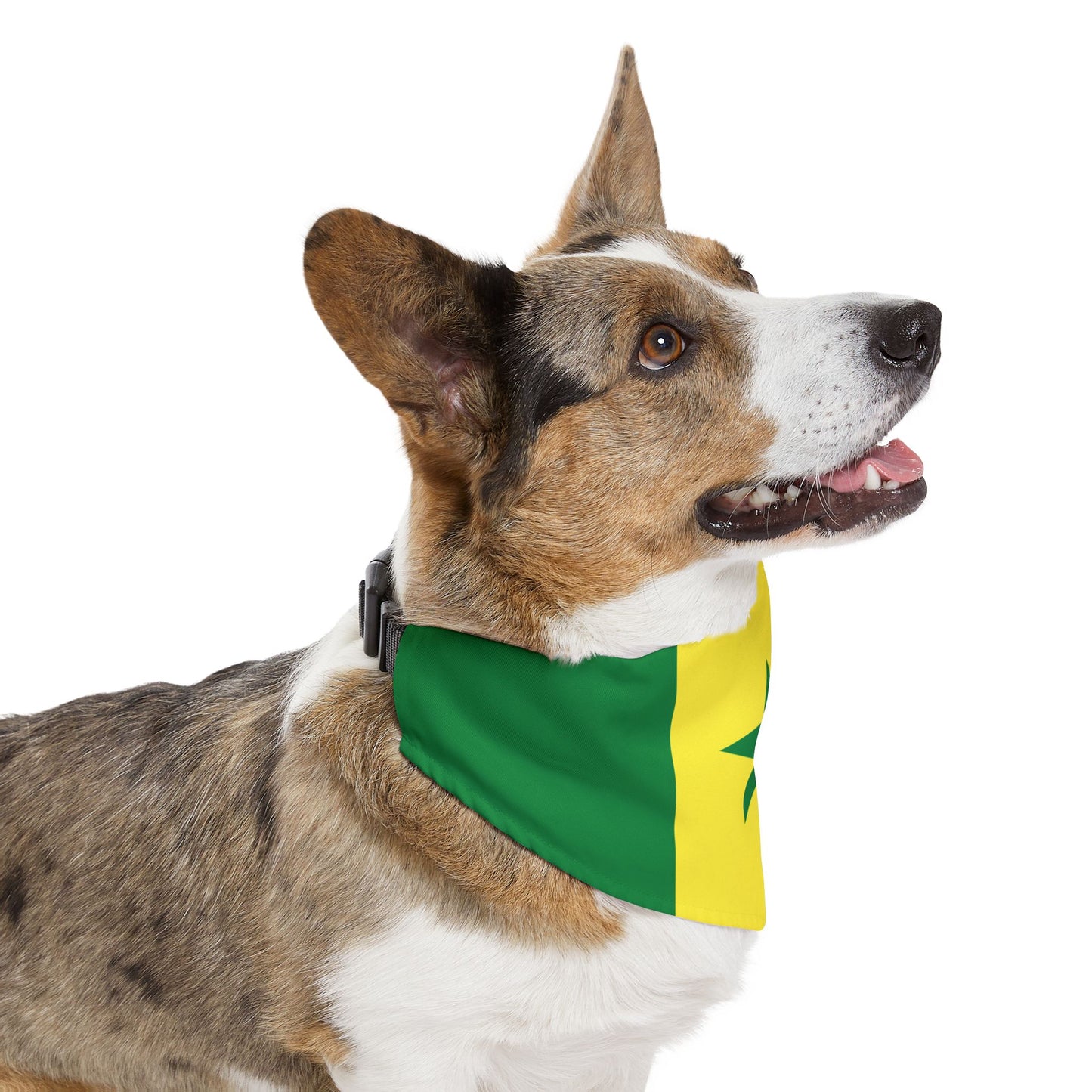 Senegal Soccer Dog Bandana — Senegalese Flag Snap-On Pet Bandana, Fan Gear
