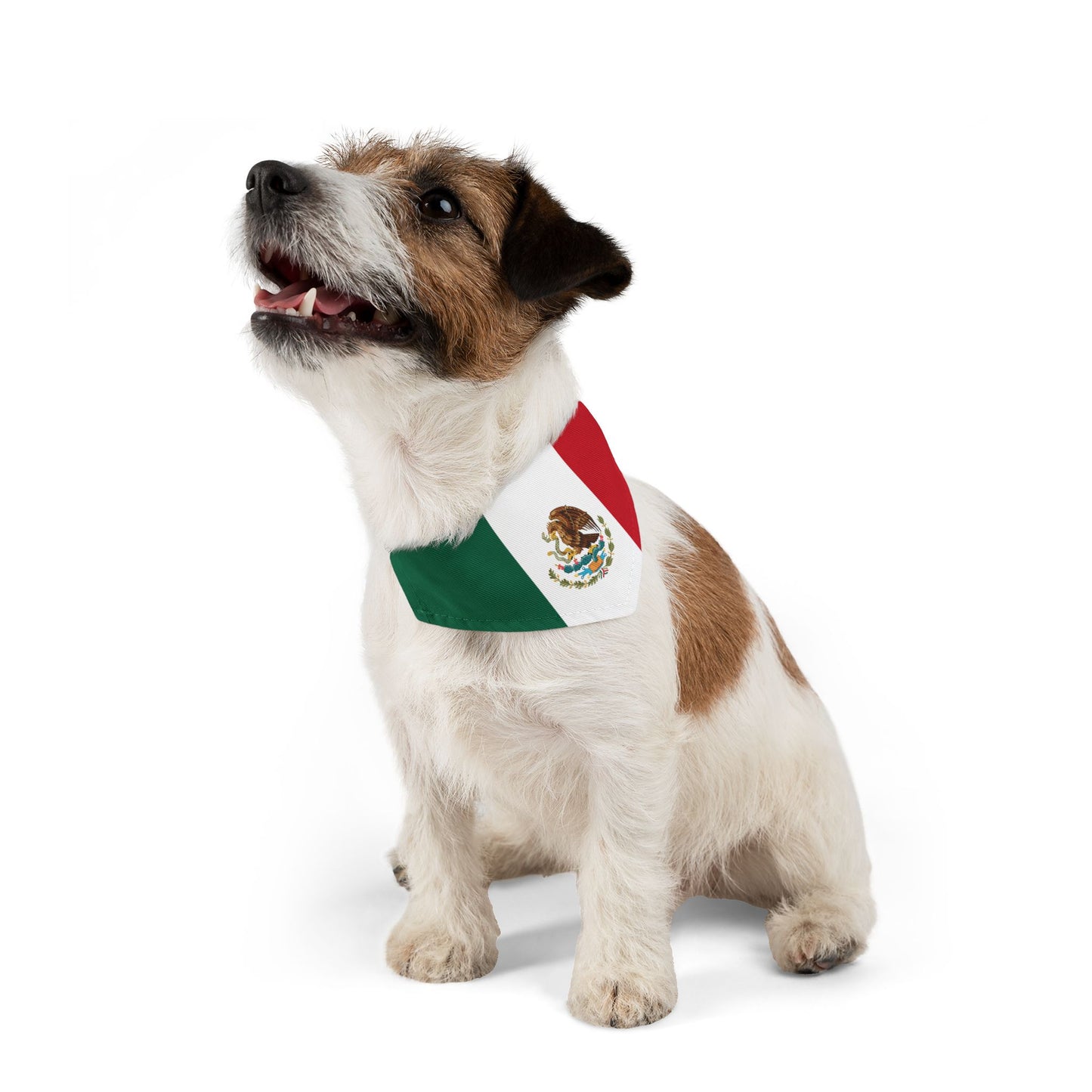 Mexico Soccer Dog Bandana — Mexican Flag Snap-On Pet Bandana, Fan Gear