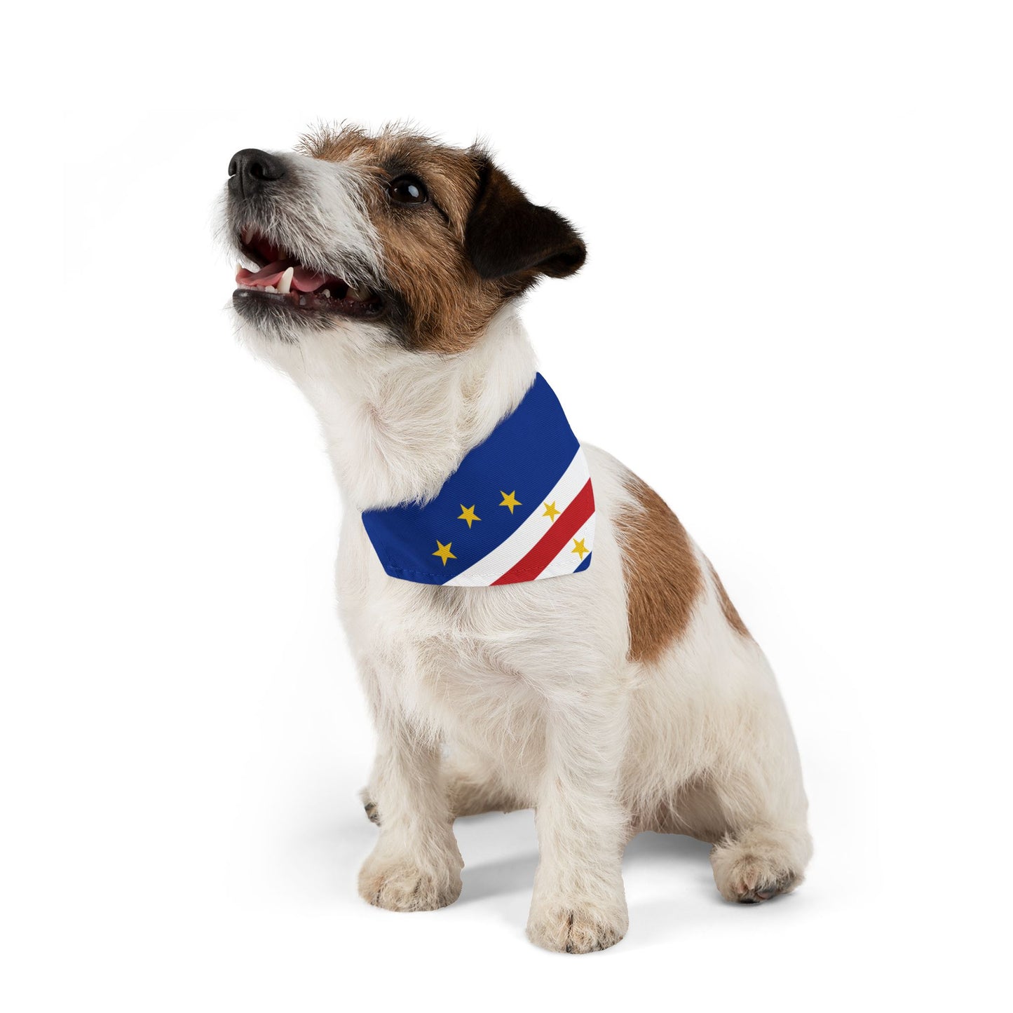 Cape Verde Soccer Dog Bandana — Cape Verdean Flag Snap-On Pet Bandana, Fan Gear