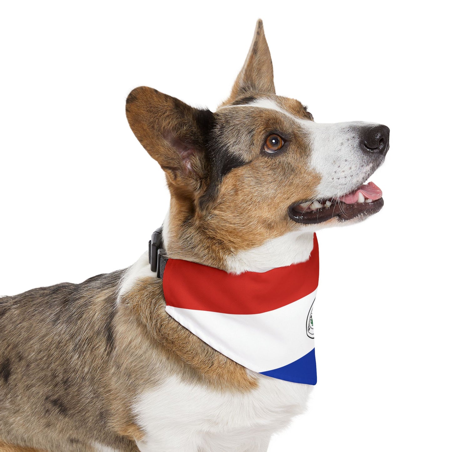 Paraguay Soccer Dog Bandana — Paraguayan Flag Snap-On Pet Bandana, Fan Gear