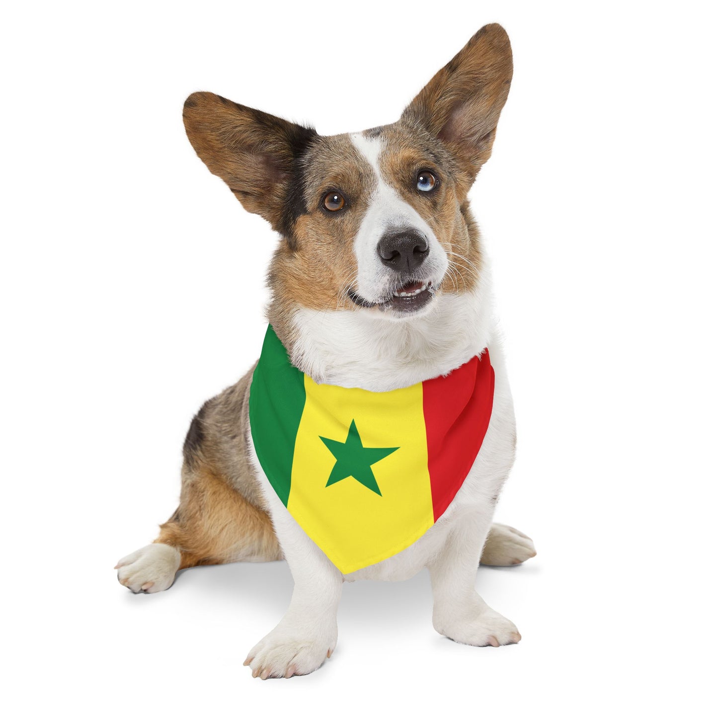 Senegal Soccer Dog Bandana — Senegalese Flag Snap-On Pet Bandana, Fan Gear