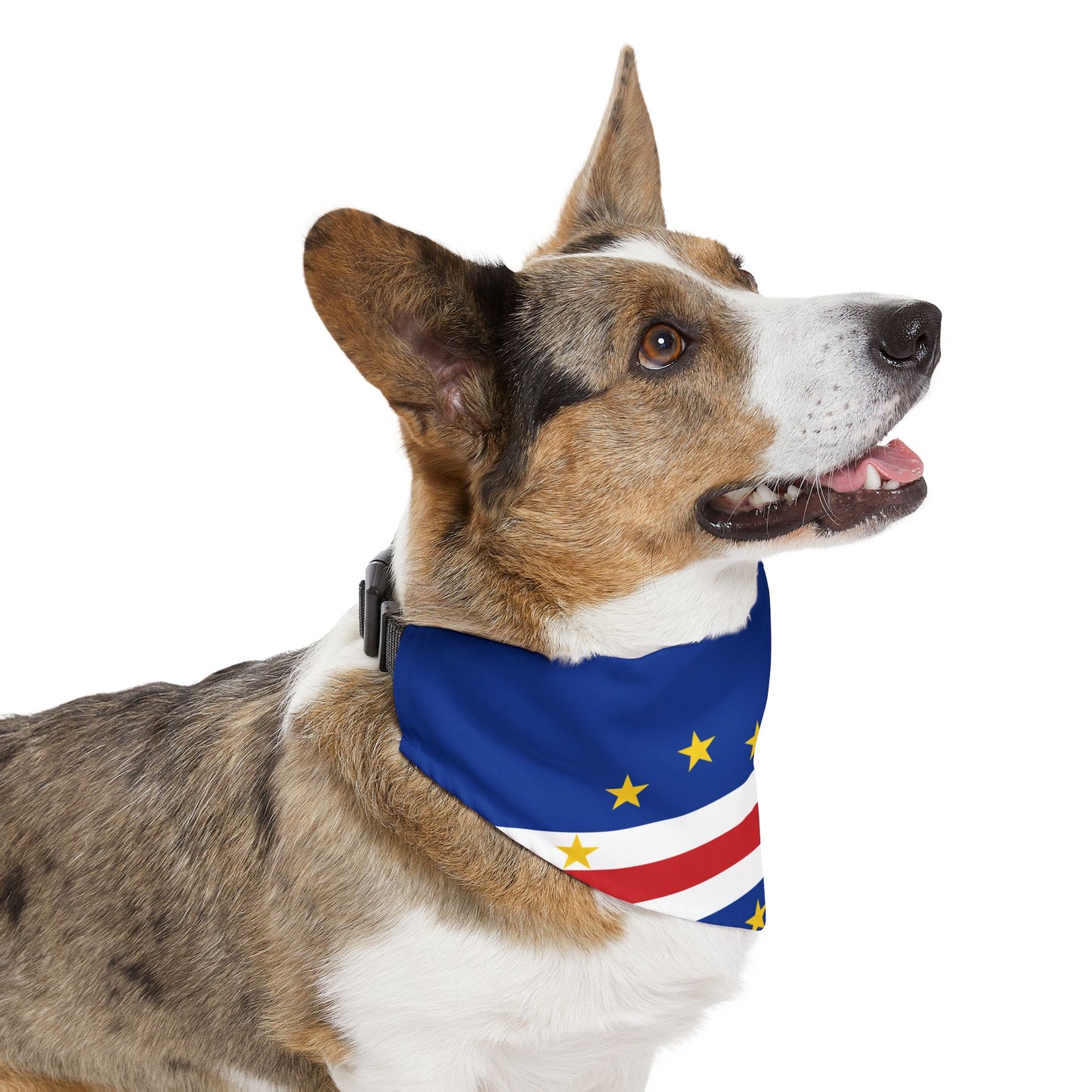 Cape Verde Soccer Dog Bandana — Cape Verdean Flag Snap-On Pet Bandana, Fan Gear