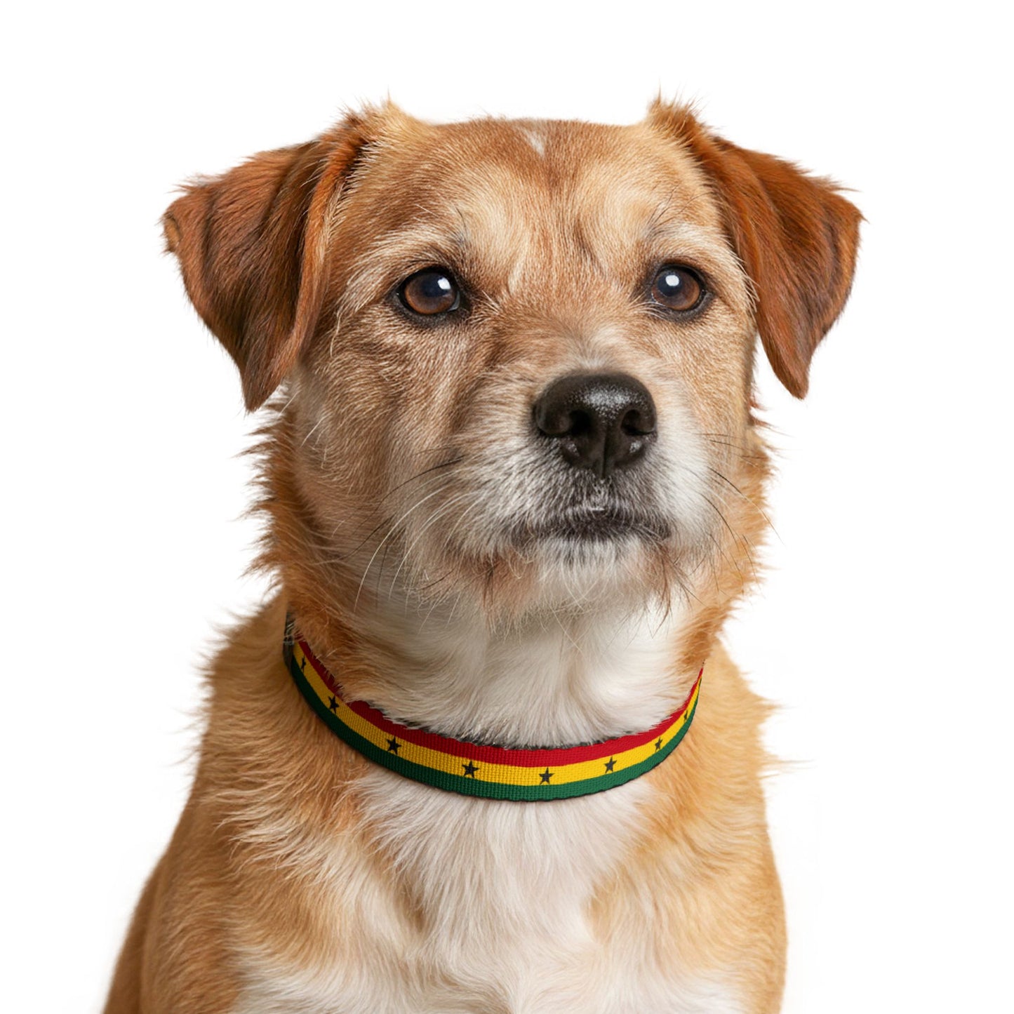 Ghana Soccer Dog Collar — Ghanaian Flag Grid Clip-On Pet Collar, Fan Gear