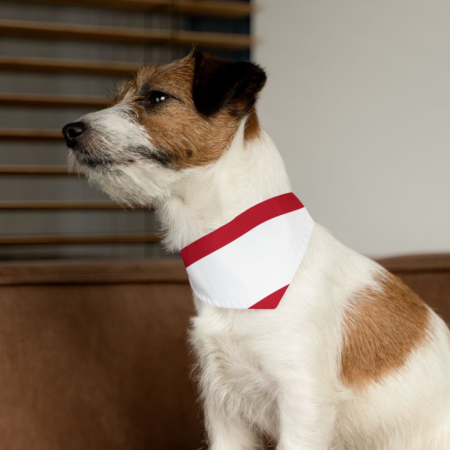 Austria Soccer Dog Bandana — Austrian Flag Snap-On Pet Bandana, Fan Gear
