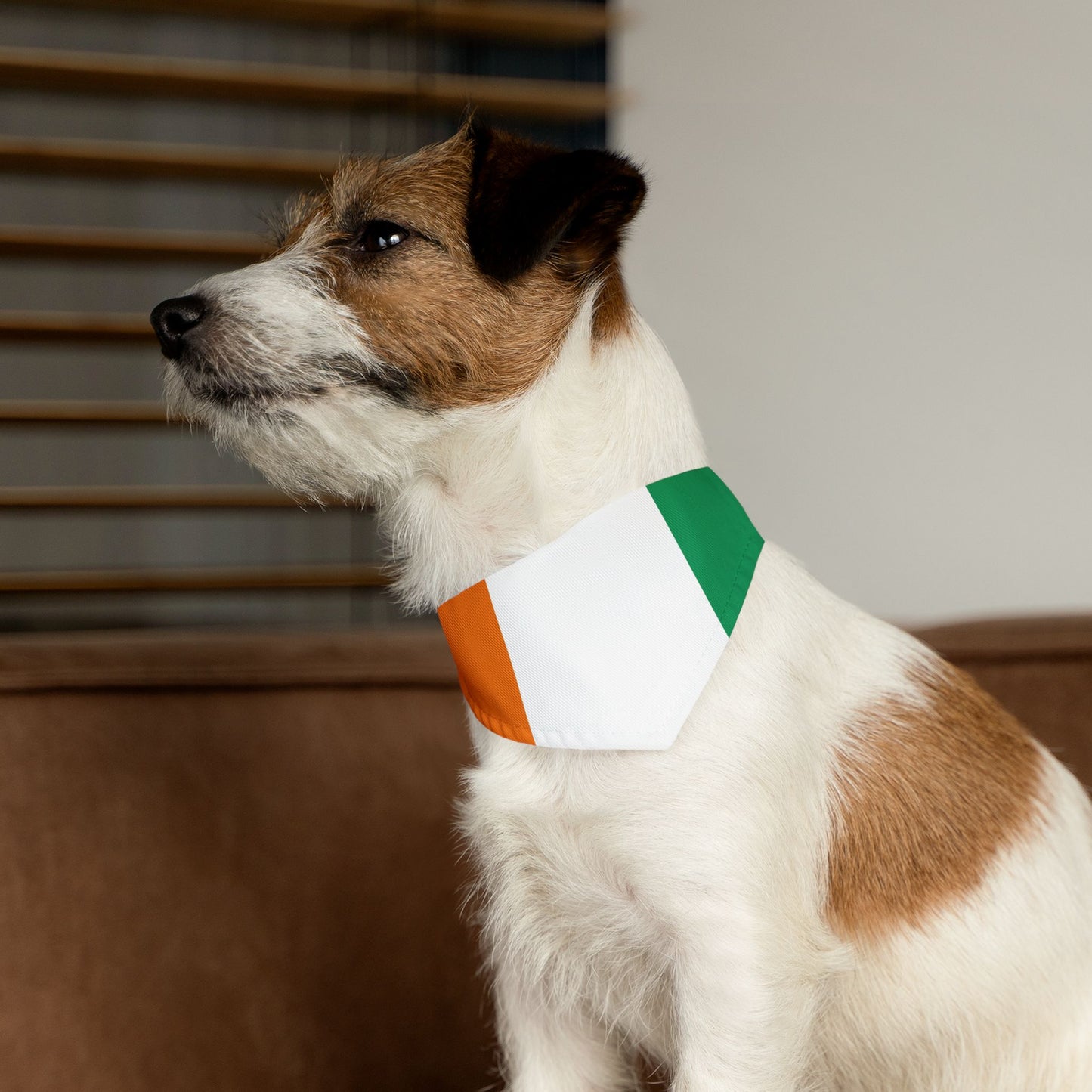Ivory Coast Soccer Dog Bandana — Ivorian Flag Snap-On Pet Bandana, Fan Gear