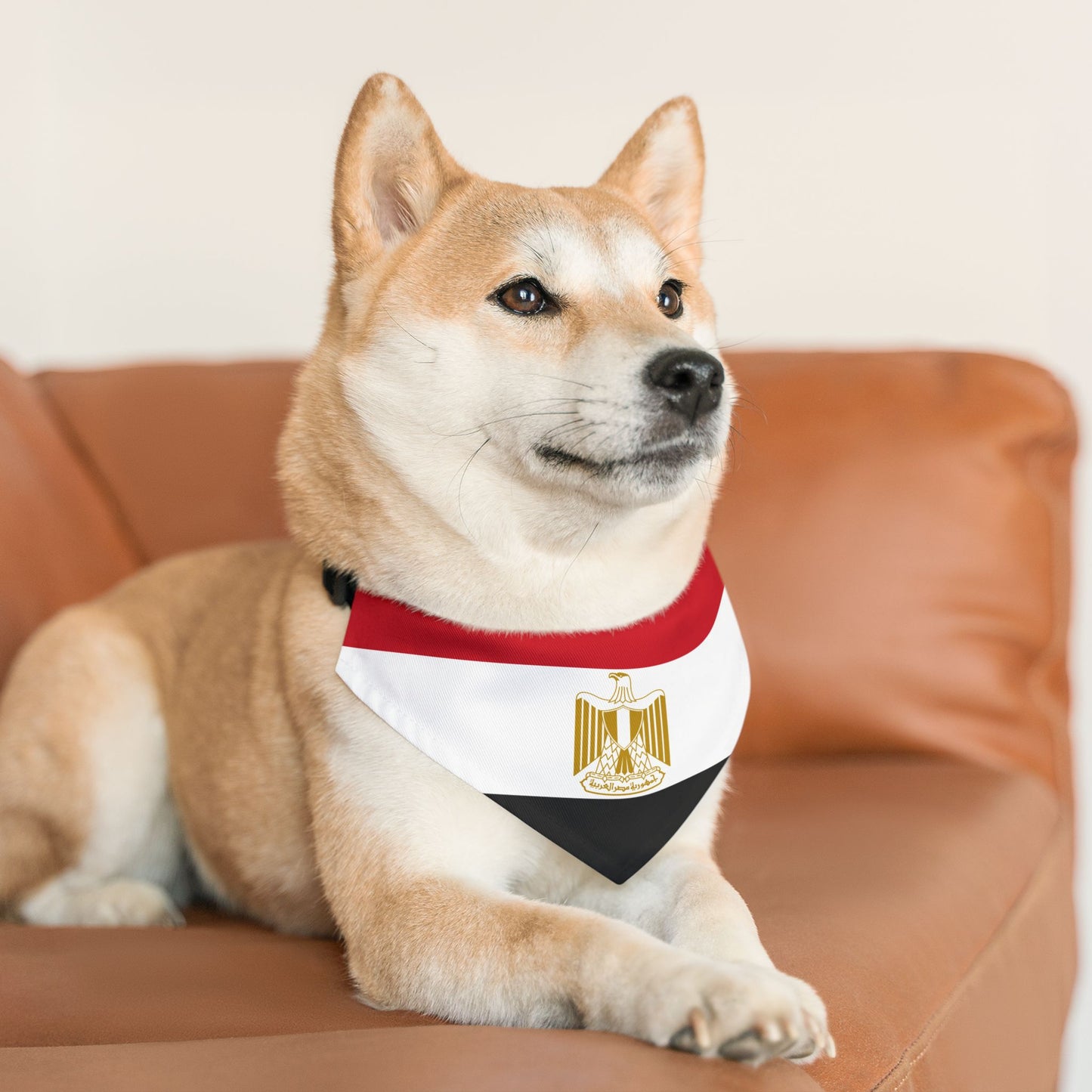 Egypt Soccer Dog Bandana — Egyptian Flag Snap-On Pet Bandana, Fan Gear