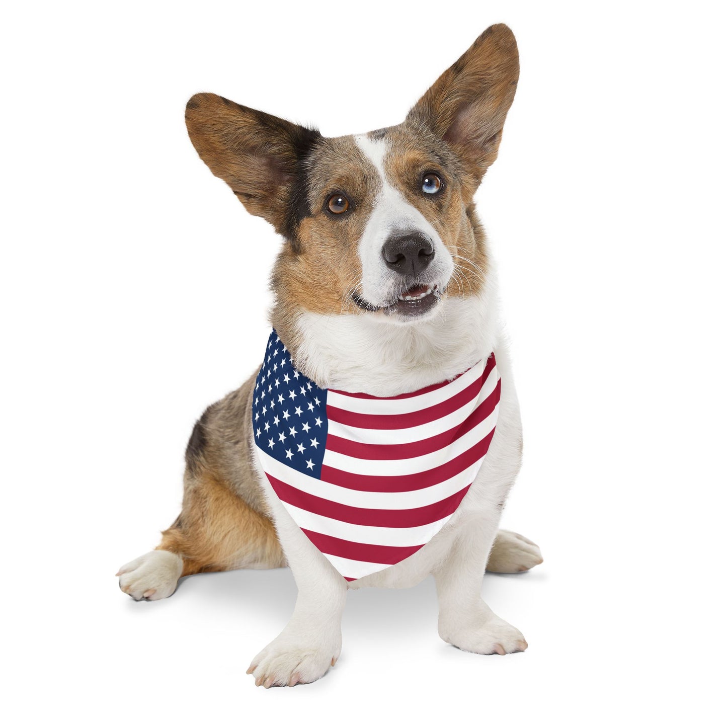 United States Soccer Dog Collar — American Flag Grid Clip-On Pet Collar, Fan Gear