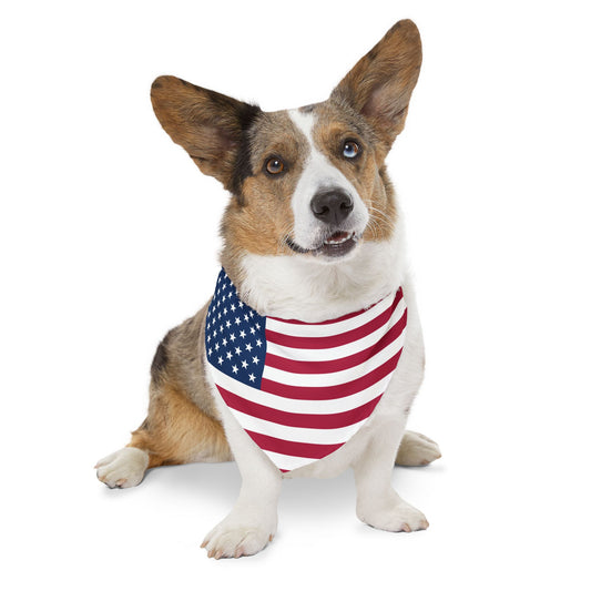 United States Soccer Dog Collar — American Flag Grid Clip-On Pet Collar, Fan Gear